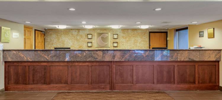 舒适酒店(Comfort Inn)图片