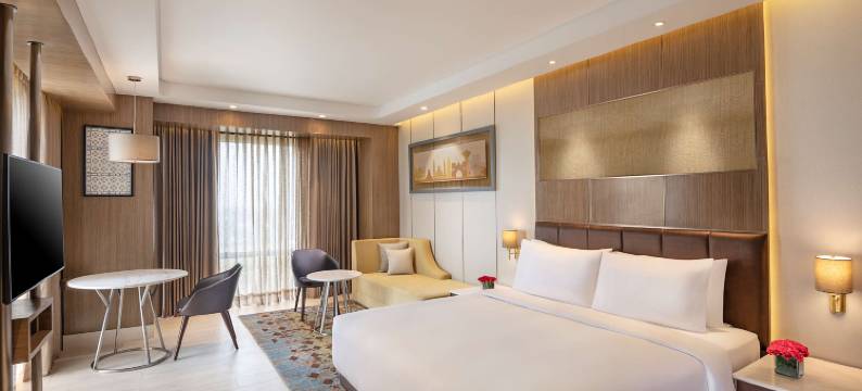 阿姆利则丽笙蓝标酒店(Radisson Blu Hotel Amritsar)图片