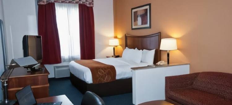 纽波特纽斯机场舒适套房酒店(Comfort Suites Newport News Airport)图片