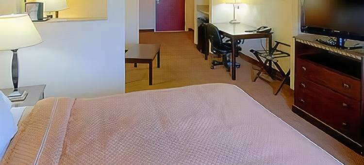 舒适套房酒店-亚特兰大机场(Comfort Suites Atlanta Airport)图片