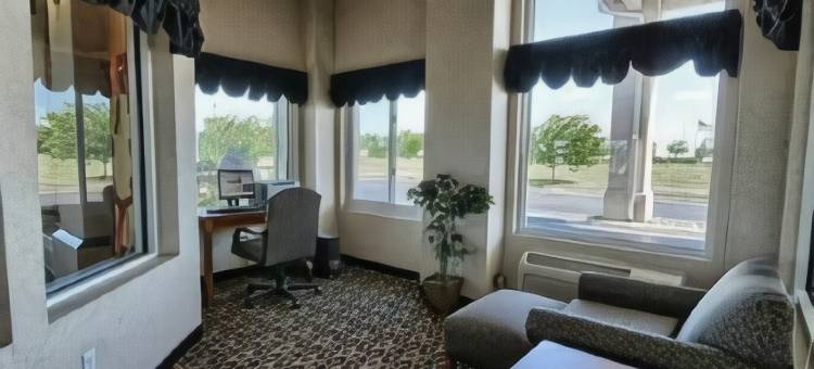 迪蒙代尔舒适套房酒店(Comfort Inn & Suites Dimondale - Lansing)图片