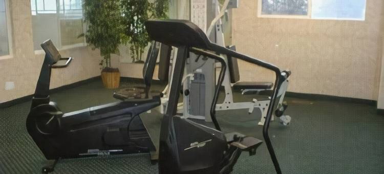 伊克诺套房酒店(Inn & Suites)图片