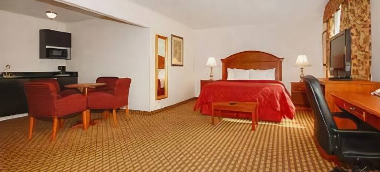 舒适套房酒店-近医疗中心(Comfort Inn & Suites Near Medical Center)图片