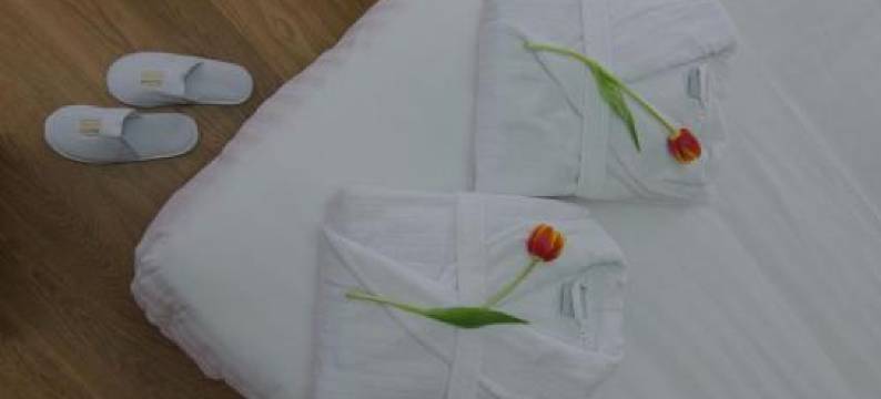 阿肯提克安凡提酒店(Hotel Archontiko Anyfanti)图片