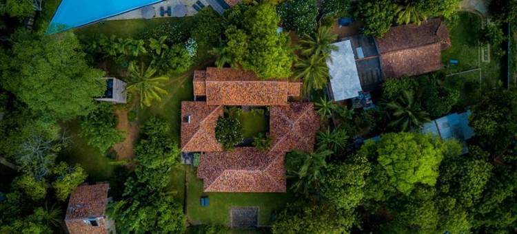 唐加勒棕榈天堂小屋及别墅海滩度假村(Palm Paradise Cabanas & Villas Beach Resort)图片