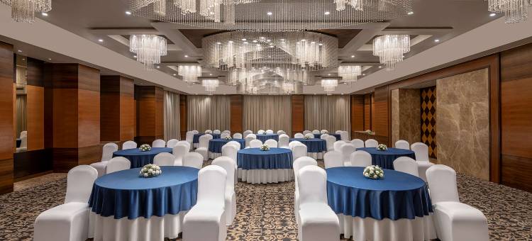 艾哈迈达巴德丽笙酒店(Radisson Blu Hotel Ahmedabad)图片