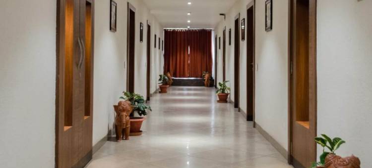 基尼斯塔酒店(Hotel Genista Inn)图片