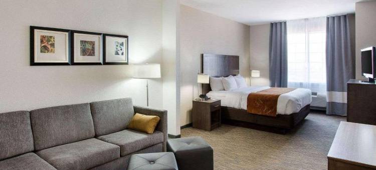 圣安吉洛舒适套房酒店-近大学(Comfort Suites San Angelo Near University)图片