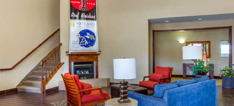 普莱恩维尤舒适套房酒店(Comfort Suites Plainview)图片