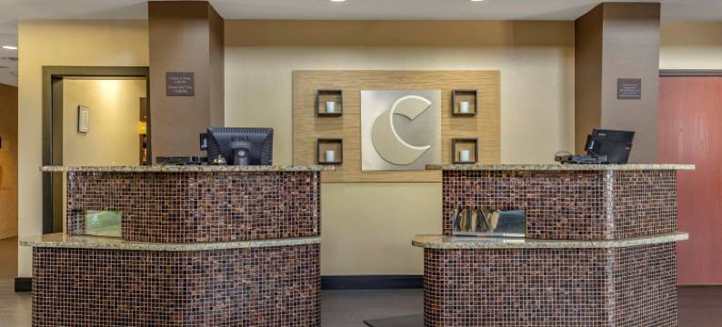 舒适套房酒店-比尤达奥斯汀南(Comfort Suites Buda - Austin South)图片