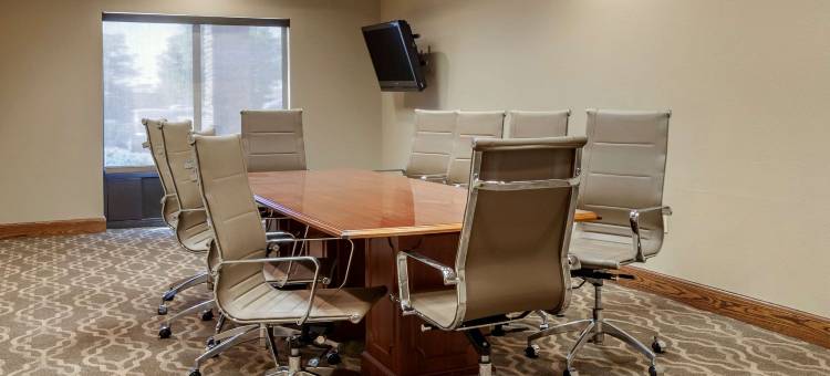 奥什科什舒适套房酒店(Comfort Suites)图片