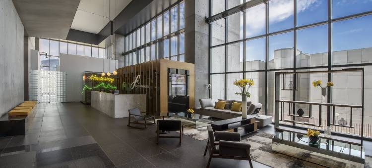 美洲嘉年华蒙特雷帕韦永M.酒店(Fiesta Americana Monterrey Pabellón M.)图片