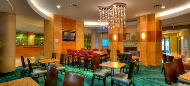 坦帕布兰登万豪SpringHill酒店(SpringHill Suites Tampa Brandon)图片