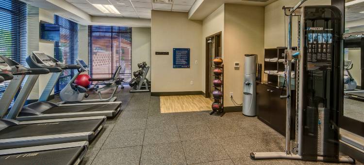 湾城欢朋套房酒店(Hampton Inn & Suites Bay City)图片