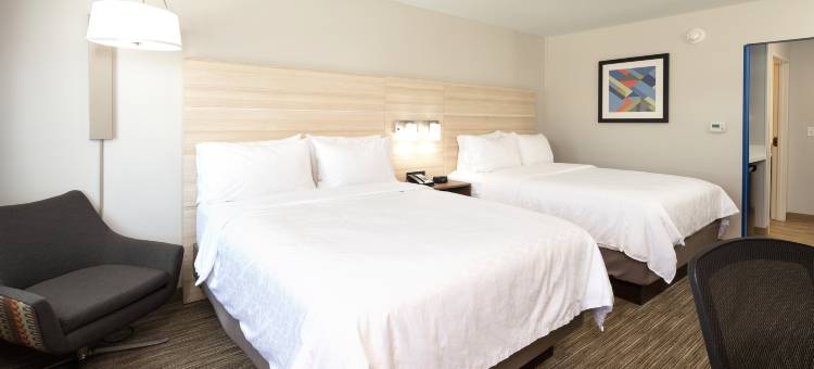 波塔吉智选假日套房酒店(Holiday Inn Express & Suites Portage)图片