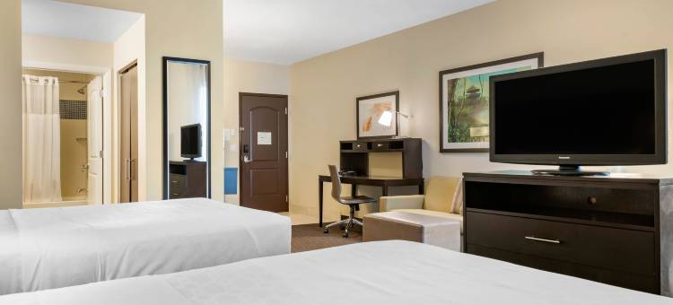 Staybridge Suites 佛罗里达州圣彼得堡(Staybridge Suites ST. PETERSBURG DOWNTOWN by IHG)图片