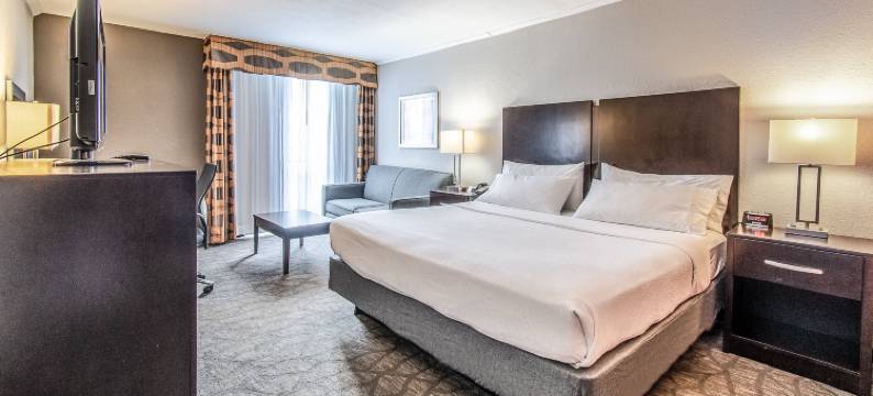 科珀斯克里斯蒂机场&会议中心洲际假日酒店(Holiday Inn Corpus Christi Arpt & Conf Ctr by IHG)图片