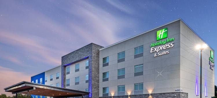 丹顿桑格智选假日套房酒店(Holiday Inn Express & Suites Denton - Sanger)图片