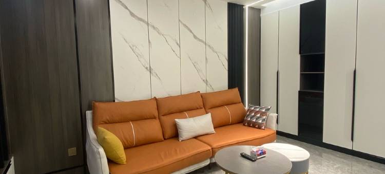 现代轻奢风公寓(天福路分店)图片