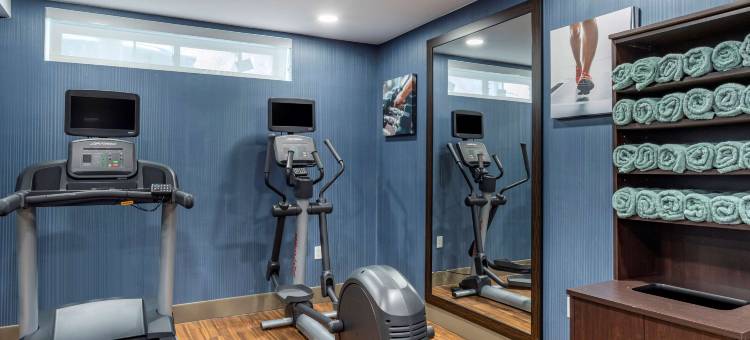 舒适酒店-JFK机场(Comfort Inn JFK Airport)图片