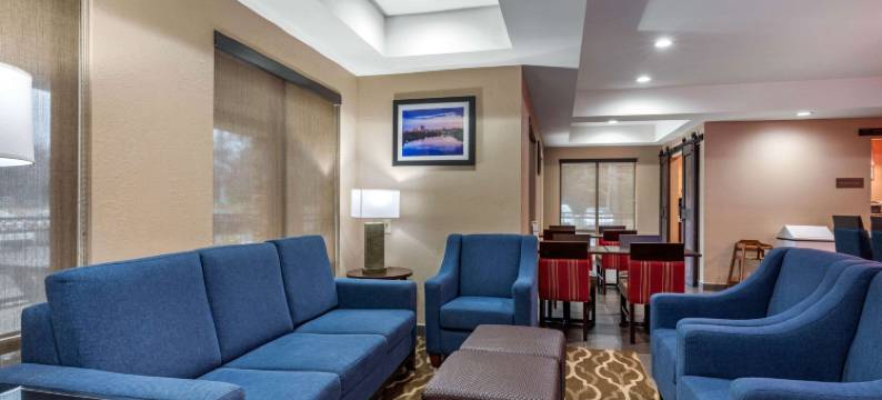 蒙哥马利东卡迈克尔路舒适套房酒店(Comfort Inn & Suites Montgomery East Carmichael Rd)图片