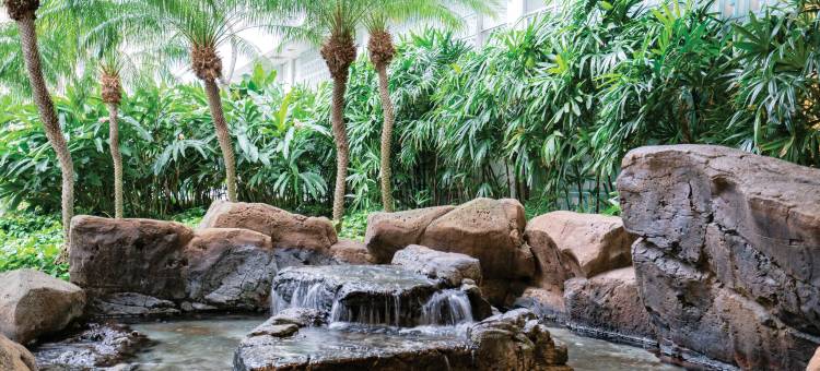 威基基温德姆皇家花园度假酒店(Club Wyndham Royal Garden at Waikiki)图片