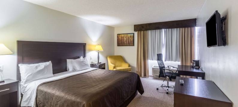 迈克艾伦机场附近凯隆酒店(Clarion Inn Near McAllen Airport)图片