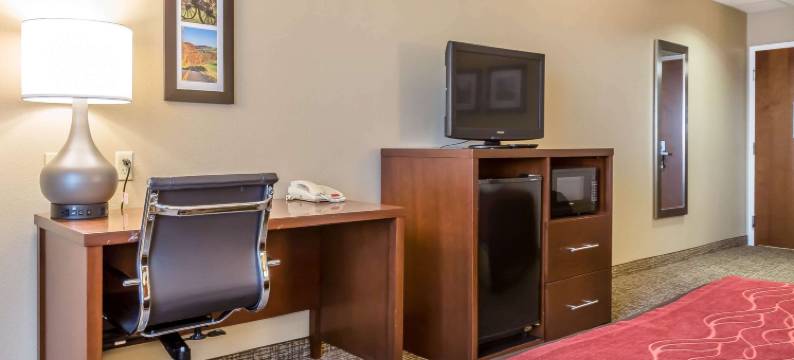 舒适酒店(Comfort Inn)图片