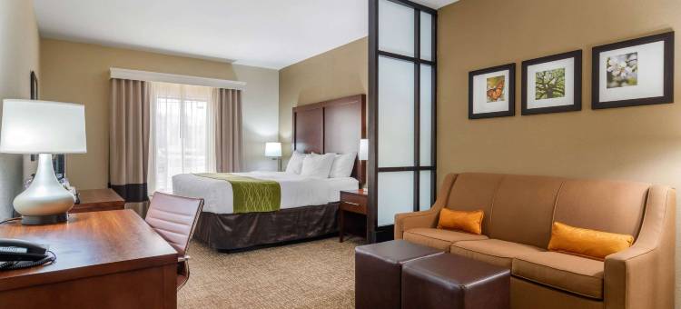 舒适套房酒店(Comfort Inn & Suites)图片