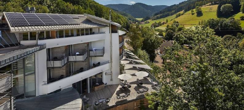 艾尔兹兰酒店孔雀养生 SPA 及维塔利斯酒店(ElzLand Hotel Pfauen Wellness & Spa)图片