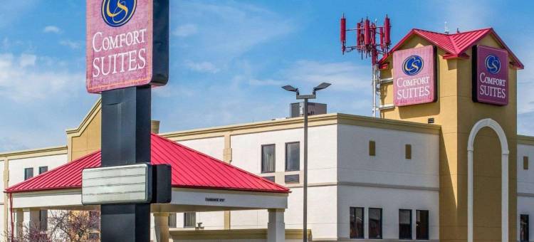 舒适全套房酒店(Comfort Suites)图片