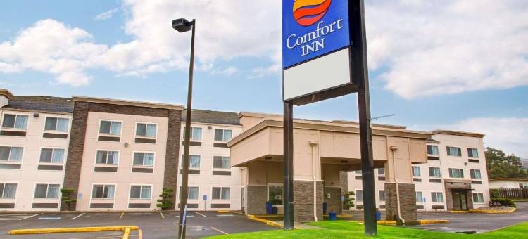 舒适酒店(Comfort Inn)图片