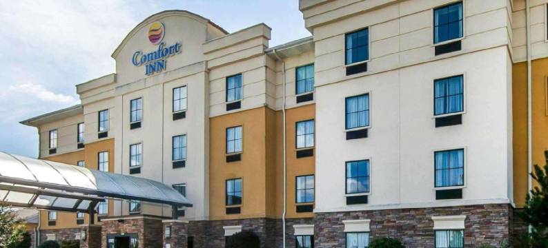 雅典舒适酒店(Comfort Inn Athens I - 75)图片