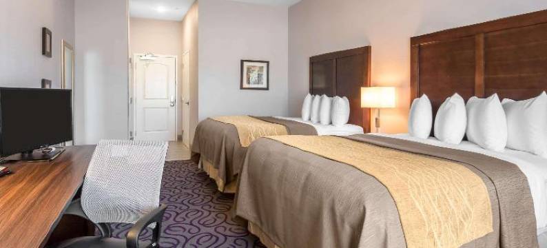 舒适套房酒店(Comfort Inn & Suites)图片