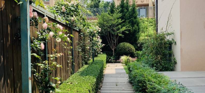 雲释抚仙湖度假别墅(澄华线7号分店)图片