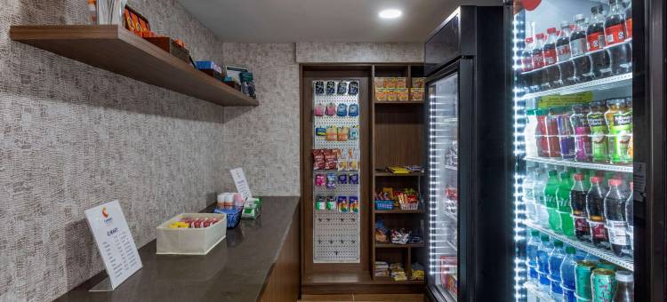 纳什维尔市中心 - 体育馆舒适套房酒店(Comfort Inn & Suites Nashville Downtown - Stadium)图片