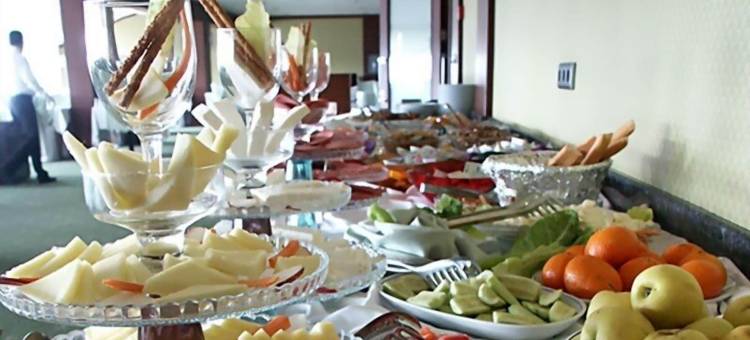 锡瓦斯比于克酒店(Sivas Buyuk Hotel)图片