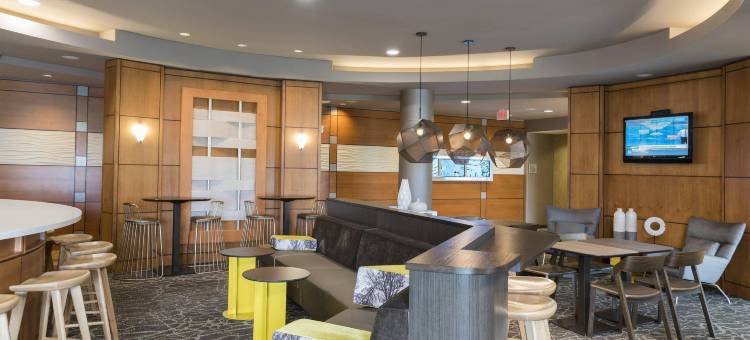 底特律奥本山万豪SpringHill酒店(SpringHill Suites Detroit Auburn Hills)图片