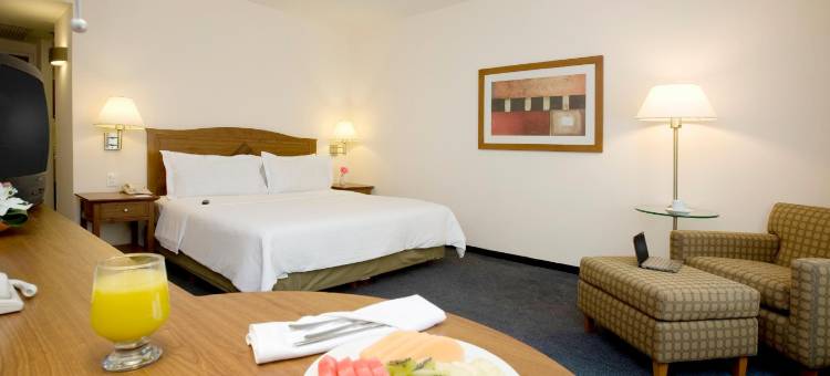 菲斯塔快捷酒店圣路易斯波托西东方(Fiesta Inn Express San Luis Potosí Oriente)图片