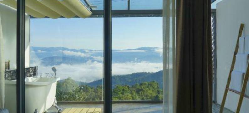 勐海龙巴庄园图片