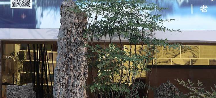 黄山老街苑精品酒店(屯溪老街黎阳in巷店)图片