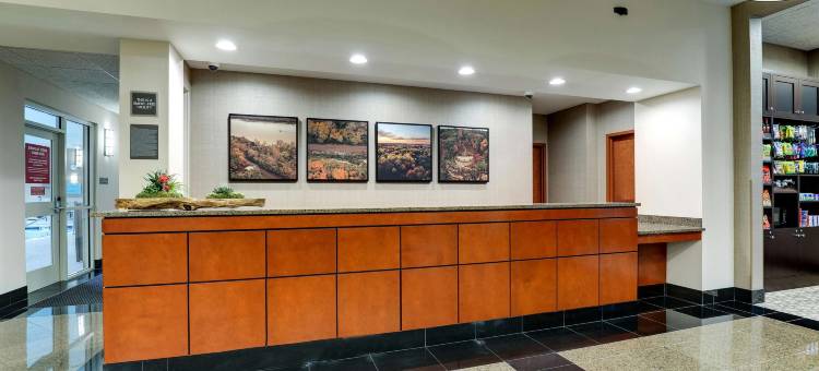 圣路易斯-阿诺德德鲁里套房酒店(Drury Inn & Suites St. Louis Arnold)图片