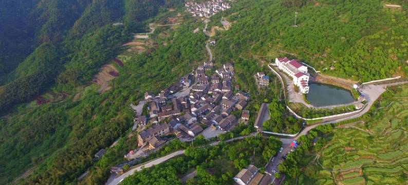 绍兴樟树下民宿图片