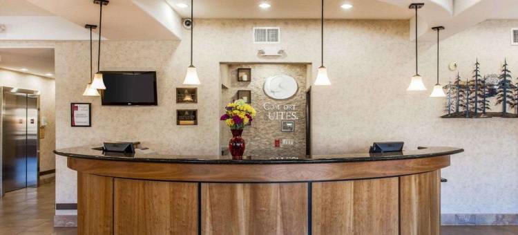 韦纳奇盖特威舒适全套房酒店(Comfort Suites Wenatchee Gateway)图片