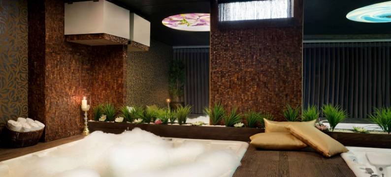 吉尔吉斯柯伊温德姆酒店(Wyndham Cerkezkoy)图片