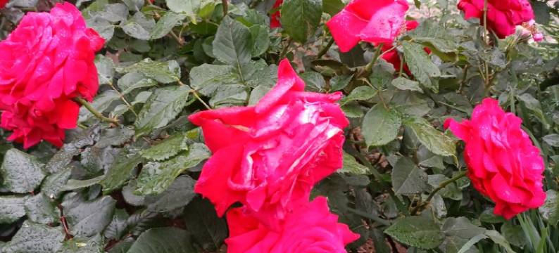 蓟县孙各庄满族乡刘家大院民宿(荣山路分店)图片