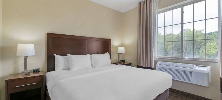 日内瓦湖城东舒适套房酒店(Comfort Suites Lake Geneva East)图片