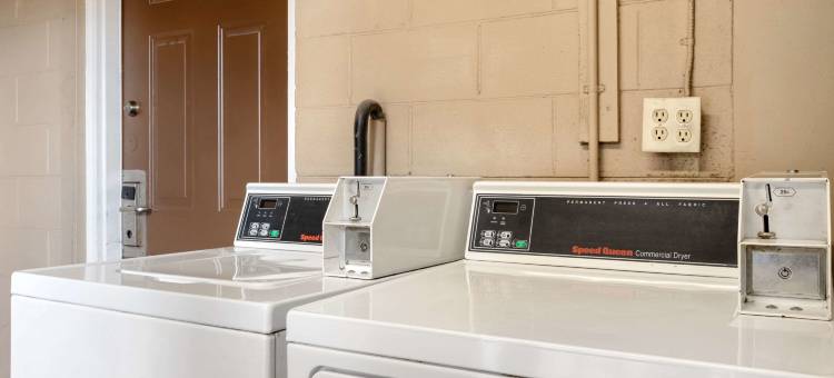 罗德威酒店(Rodeway Inn Terre Haute)图片