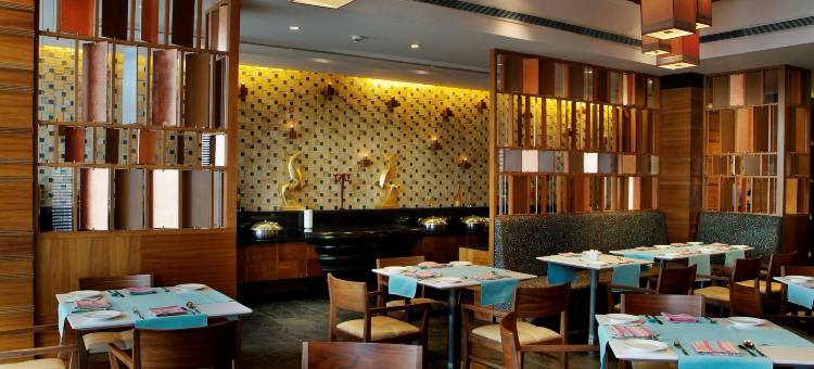 斋浦尔The Fern(The Fern Jaipur, Series by Marriott)图片