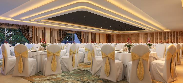 Lemon Tree Premier, Vijayawada图片